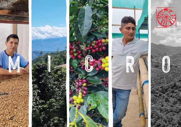 THE FALCON COFFEES PERU BOX | 5 Coffees | 2 Producers | 1 Regional Lot
