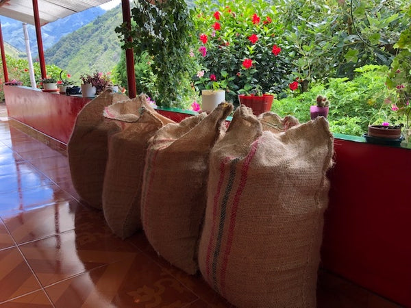Colombia - Muricio Duque | Washed | Pink Bourbon