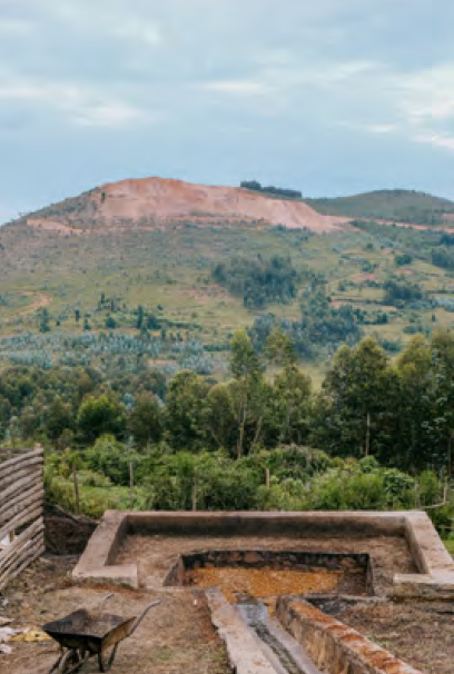 Rwanda - Gitega Hills Lot 140 | Washed | Bourbon