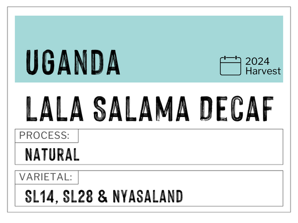 Lala Salama, Uganda| Sparkling Water Decaf