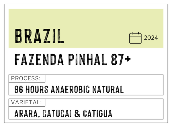 Fazenda Pinhal 87+, Brazil | 96 Hours Anaerobic Natural