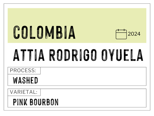 Attia Rodrigo Oyuela, Colombia | Washed