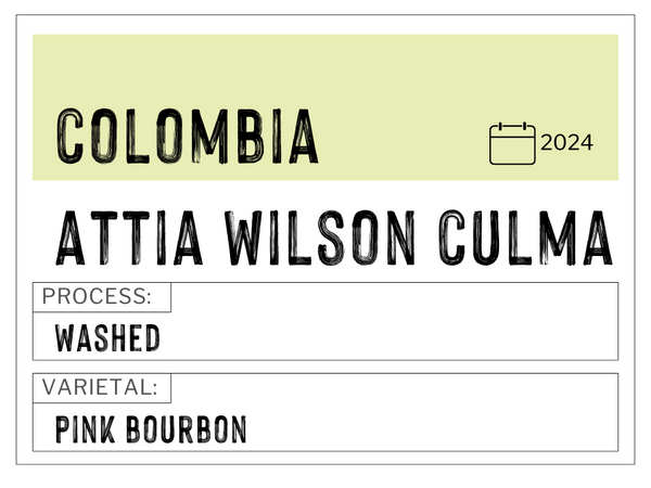 Attia Wilson Culma, Colombia | Washed