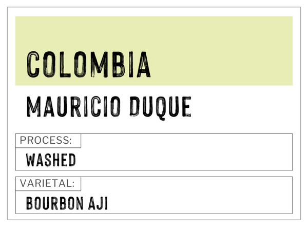 Colombia - Mauricio Duque | Washed | Bourbon Aji