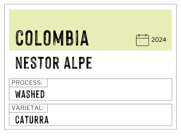 Nestor Alpe, Colombia | Washed