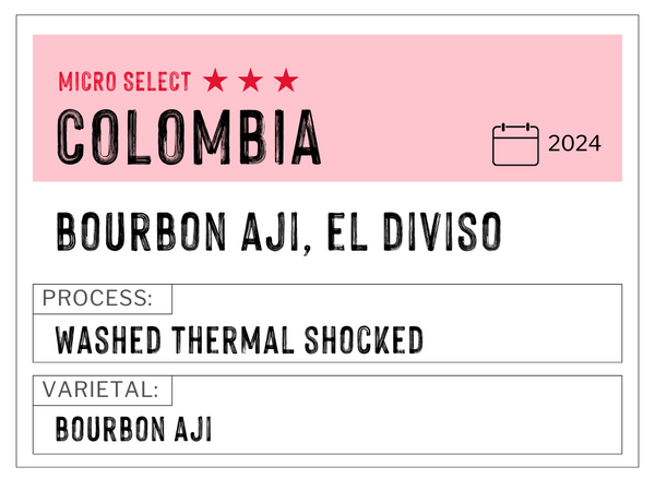 El Divisio Bourbon Aji, Colombia | Washed Thermal Shock