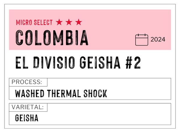 El Divisio Geisha #2, Colombia | Washed Thermal Shock