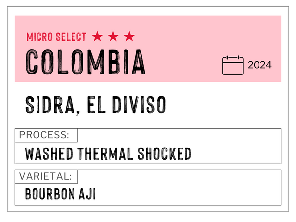 El Divisio Sidra, Colombia | Washed Thermal Shock