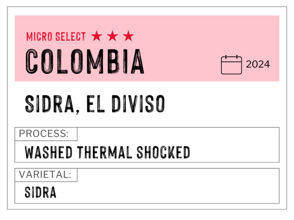 El Divisio Sidra, Colombia | Washed Thermal Shock