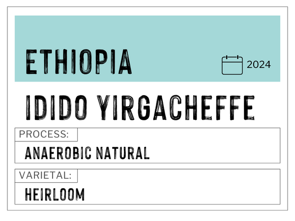 Idido Yirgacheffe, Ethiopia | Anaerobic Natural