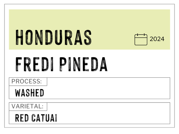 Fredi Pineda, Honduras | Washed