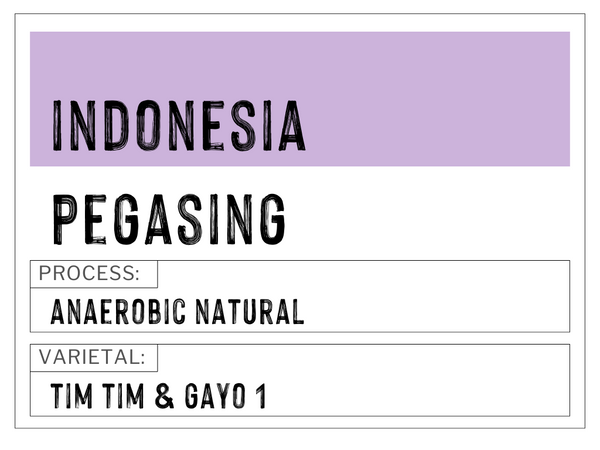 Pegasing, Indonesia | Anaerobic Natural