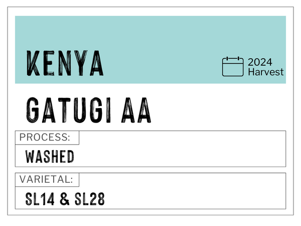 Gatugi AA, Kenya | Washed