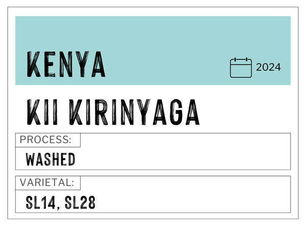 Kii Kirinyaga, Kenya | Washed