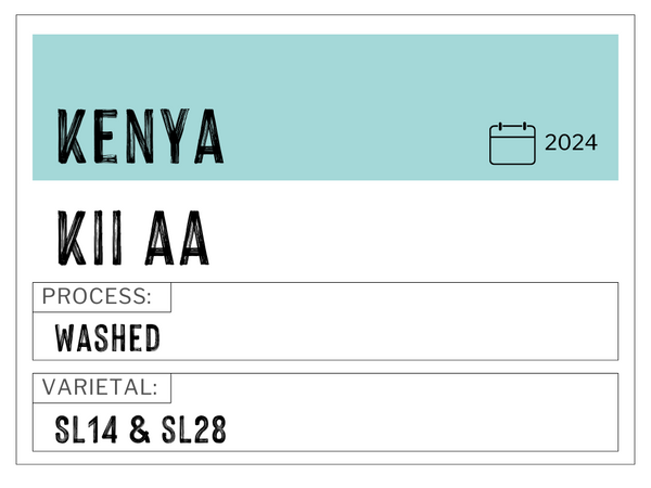 Kii AA, Kenya | Washed