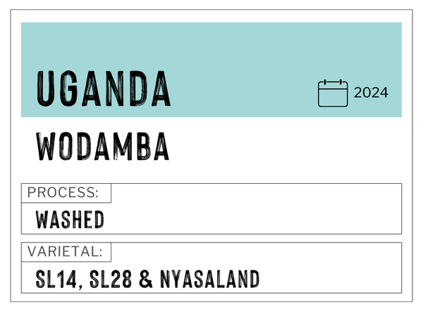 Wodamba, Uganda | Washed